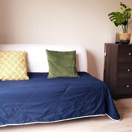 Studio Individuel - Le Musset & Parking Gratuit Devant L'Immeuble Apartment Grenoble Bagian luar foto