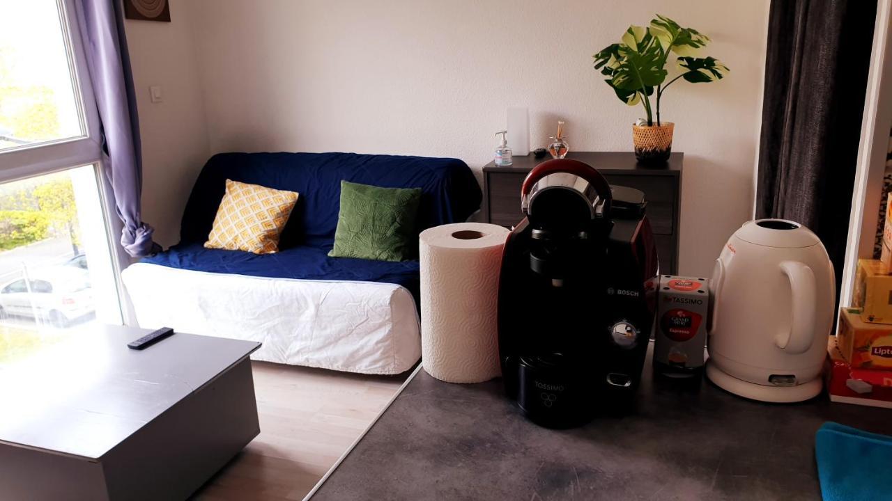 Studio Individuel - Le Musset & Parking Gratuit Devant L'Immeuble Apartment Grenoble Bagian luar foto