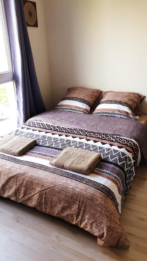 Studio Individuel - Le Musset & Parking Gratuit Devant L'Immeuble Apartment Grenoble Bagian luar foto